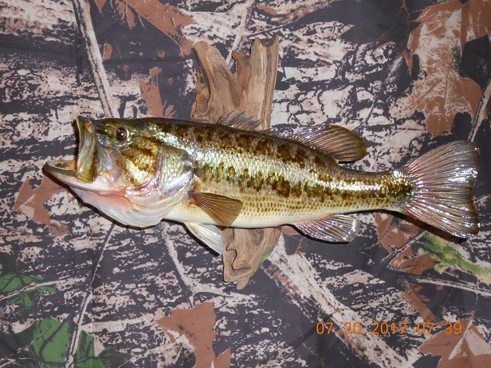 23659631_2000493103569017_3512198823781874483_n