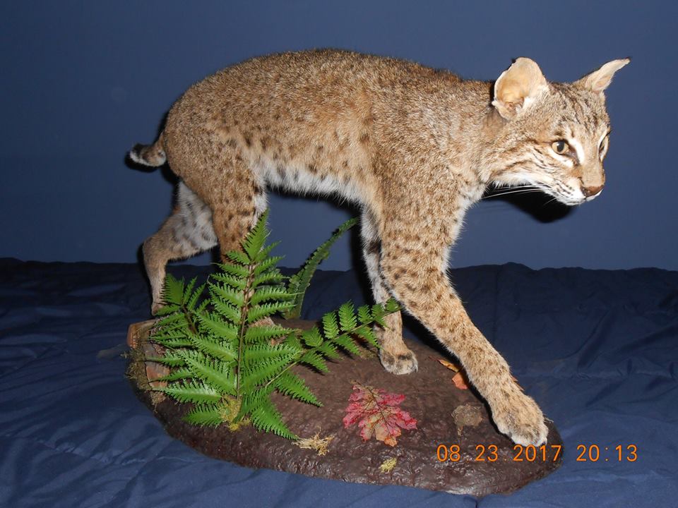 23659677_2000493266902334_2228635120454299548_n