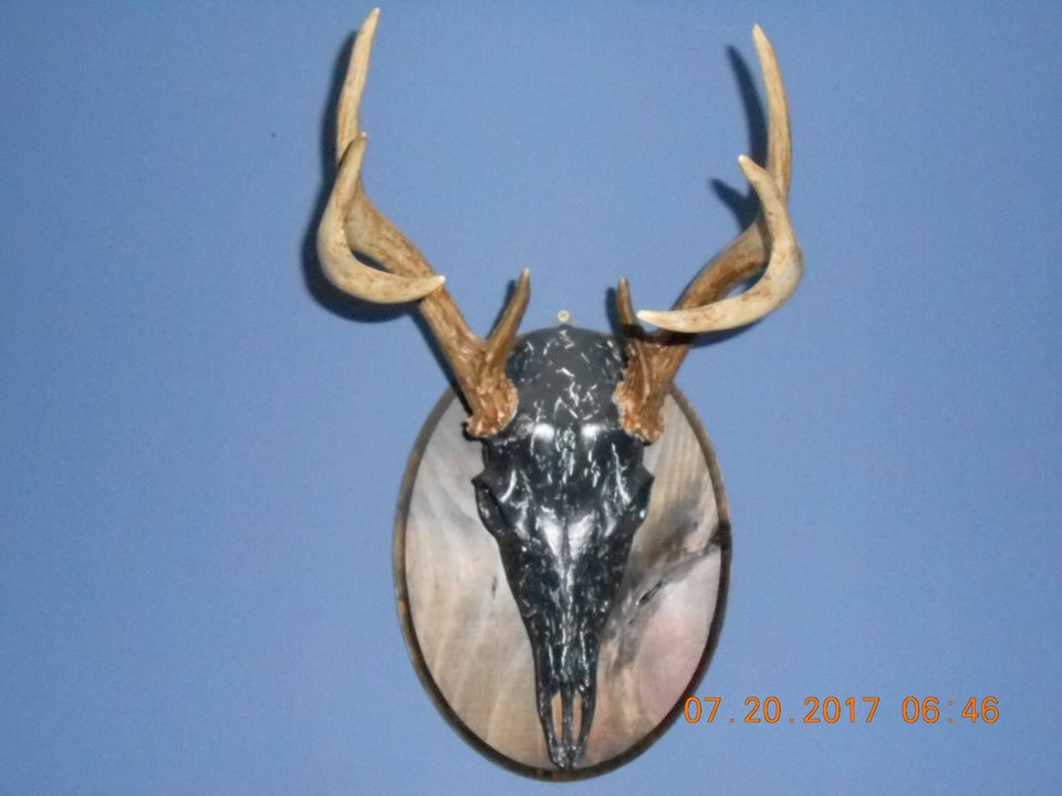 23659681_2000492426902418_2992250133853797065_n