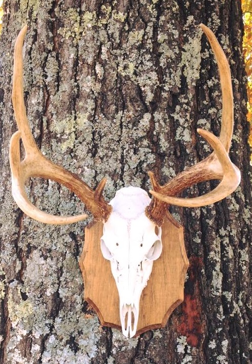 23722506_2000743173544010_7032313286170468719_n