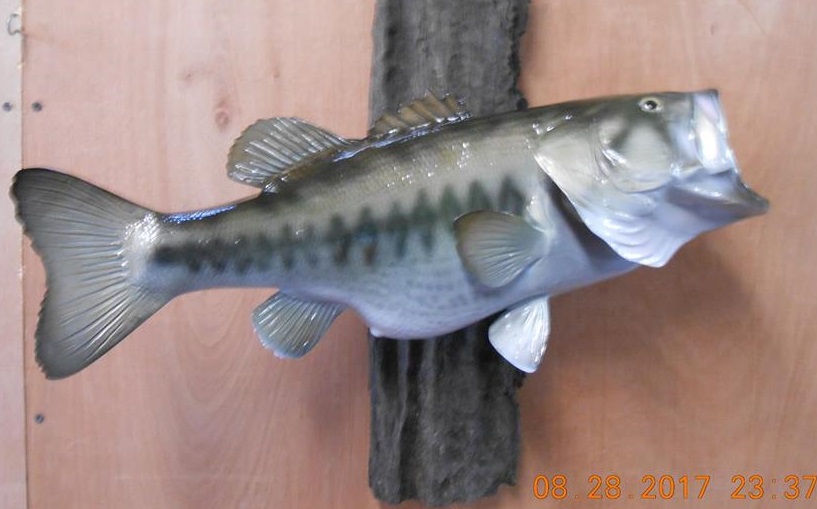 23754863_2000493323568995_5914182096537432579_n