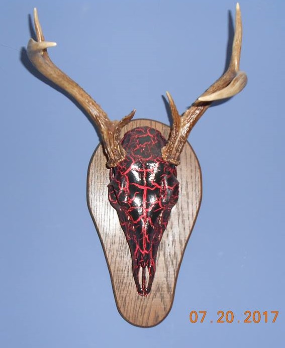 23755149_2000492386902422_5015091744485109855_n