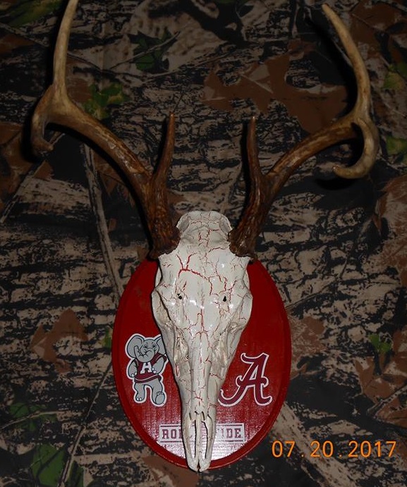 23755515_2000493043569023_4472040901923387749_n