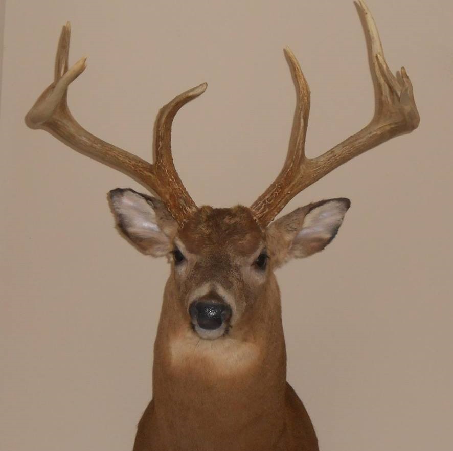 23755608_2000498716901789_6123593148374699932_n