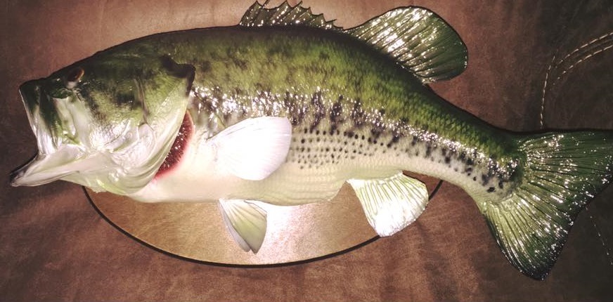 23755635_2000997670185227_5205124910241172887_n