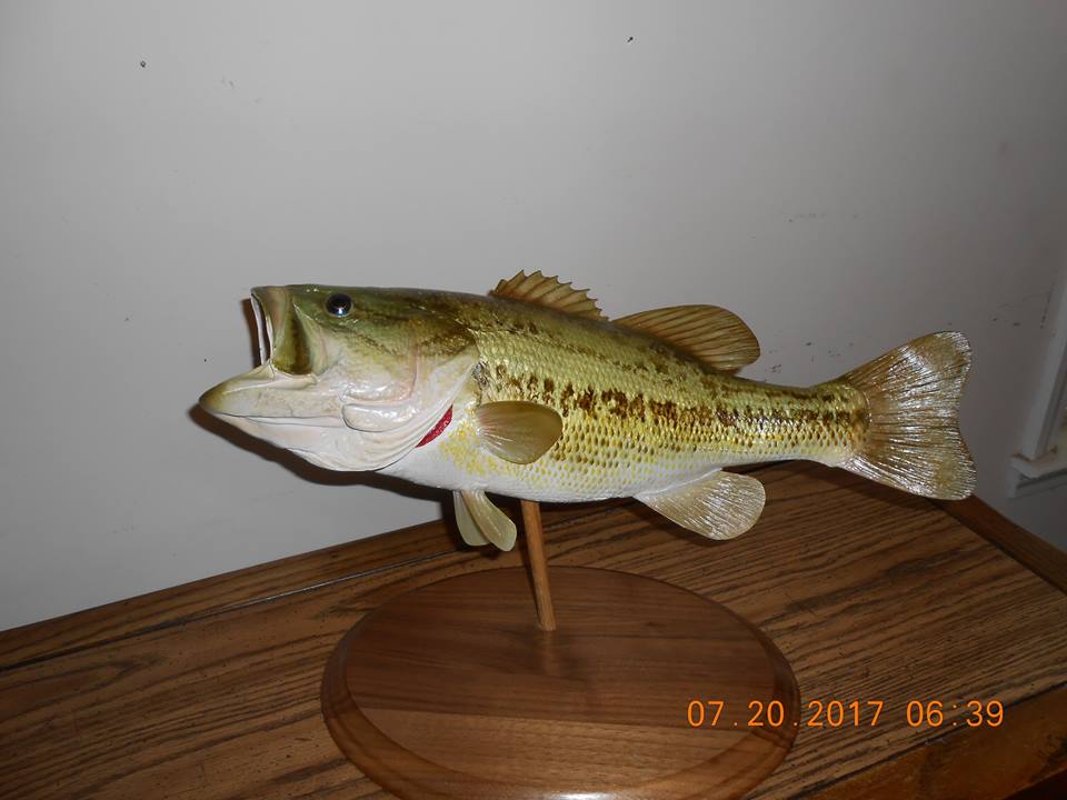 23795557_2000492350235759_5276778923154190167_n