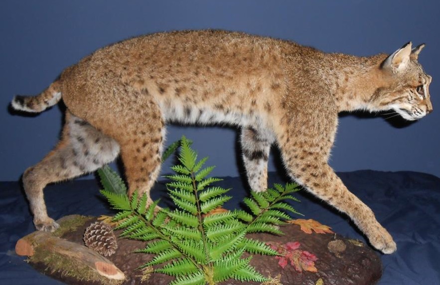 23843220_2000493313568996_8529009242650401154_n