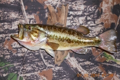 23659631_2000493103569017_3512198823781874483_n