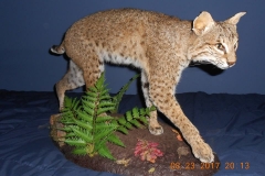 23659677_2000493266902334_2228635120454299548_n