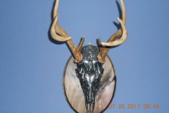 23659681_2000492426902418_2992250133853797065_n