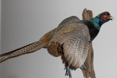 23722281_2000492366902424_453792085086642704_n