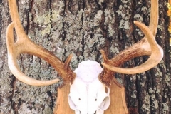 23722506_2000743173544010_7032313286170468719_n