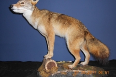 23754639_2000492483569079_2775140081596137422_n