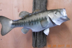 23754863_2000493323568995_5914182096537432579_n