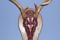 23755149_2000492386902422_5015091744485109855_n