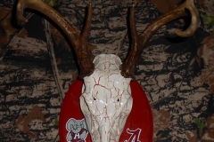 23755515_2000493043569023_4472040901923387749_n