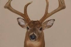 23755608_2000498716901789_6123593148374699932_n