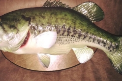 23755635_2000997670185227_5205124910241172887_n