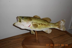 23795557_2000492350235759_5276778923154190167_n