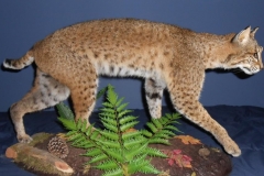 23843220_2000493313568996_8529009242650401154_n